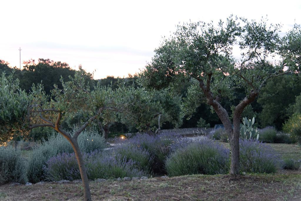 Casa di campagna Dimora Casanoja