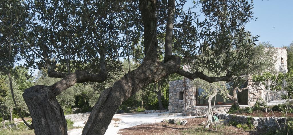 Dimora Casanoja Casa di campagna