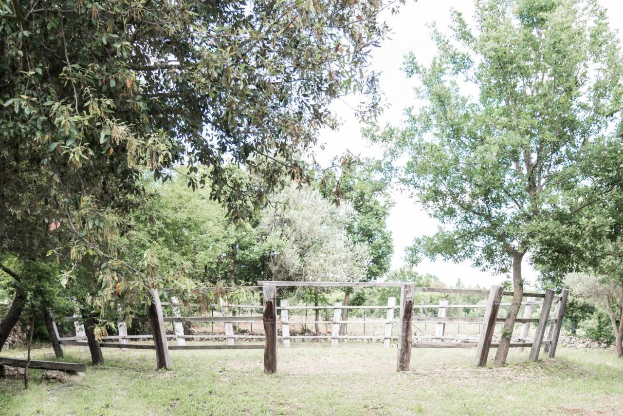 Dimora Casanoja Casa di campagna Noci